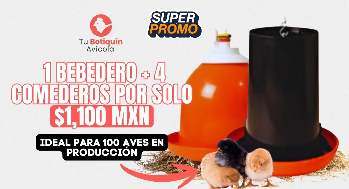 Promoción 3